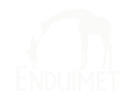 Enduimet Logo