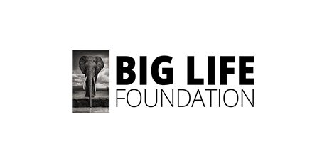BigLife Foundation